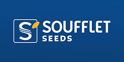 SOUFFLET SEEDS Doradni Centar