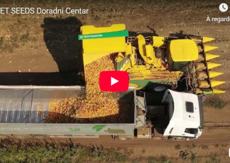 SOUFFLET SEEDS DORADNI CENTAR